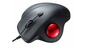 Sanwa Marble Mouse GMATB128BK (BSA2490161813)